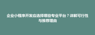企业小程序开发应选择哪些专业平台？详解可行性与推荐理由