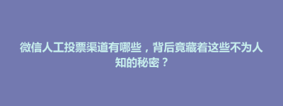 白河区微信人工投票渠道有哪些，背后竟藏着这些不为人知的秘密？