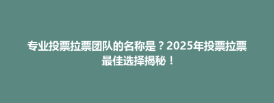 阿拉善左旗专业投票拉票团队的名称是？2025年投票拉票最佳选择揭秘！