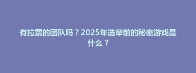 通川区有拉票的团队吗？2025年选举前的秘密游戏是什么？