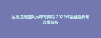 秀林乡拉票投票团队推荐有用吗 2025年最佳选择与效果解析