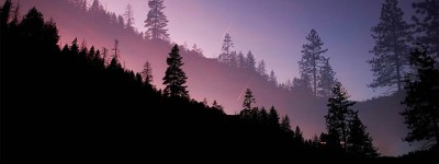 赫章县专业人工刷票是否为活动成功的秘密武器？