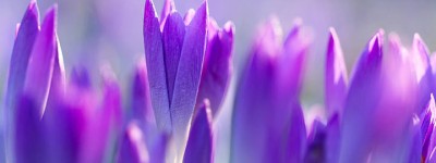 在企业活动中，微信投票一千票的费用是多少？