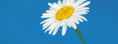 西秀区掌握这些技巧，轻松制作引爆市场的品宣视频！