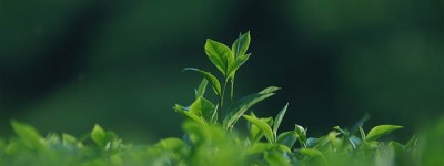 永福县泰国斩桃花效果多久才能显现？揭开神秘成果的真相与时间线