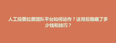 天镇县人工投票拉票团队平台如何运作？这背后隐藏了多少钱和技巧？