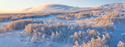 在2025年，投票中帮忙的团队能带来哪些意想不到的成果？