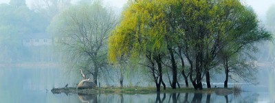 在什么情况下，使用微信投票刷投票软件免费版最有效？