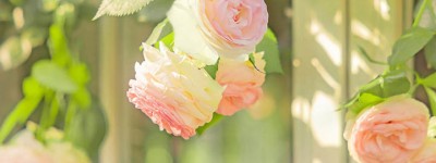 许昌市在微信投票中，10元购买千票是否合理且值得选择？