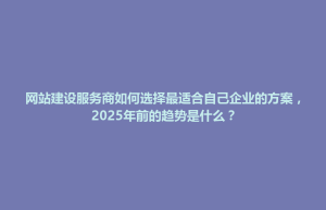 桐城市网站建设服务商如何选择最适合自己企业的方案，2025年前的趋势是什么？