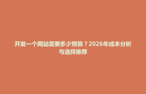 临泽县开发一个网站需要多少预算？2026年成本分析与选择推荐