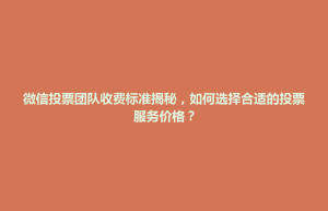 湖里区微信投票团队收费标准揭秘，如何选择合适的投票服务价格？