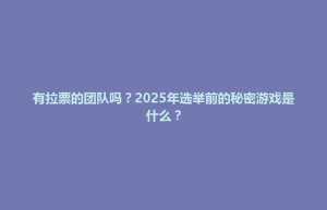 空港新城有拉票的团队吗？2025年选举前的秘密游戏是什么？