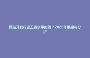称多县网站开发行业工资水平如何？2026年展望与分析