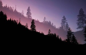 专业人工刷票是否为活动成功的秘密武器？