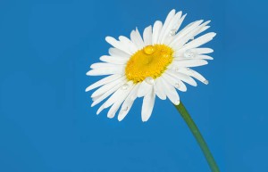 魏都区掌握这些技巧，轻松制作引爆市场的品宣视频！