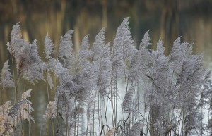 开屏视频制作，如何在2025年提升用户转化率？