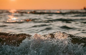 情降究竟能否真强制复合？你的爱情能否逆转回归？