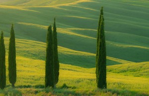 情降真的能强制复合吗？揭秘情降背后的真相与方法解析