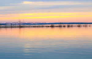 投票拉票团队联系电话是什么？如何选择合适的团队？