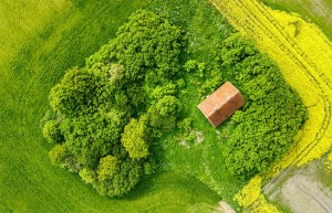 一般情降几天就见效是真的吗？揭秘快速见效的真相，避免上当受骗