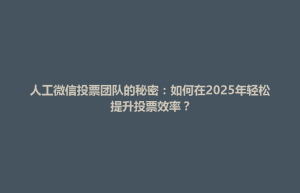 人工微信投票团队的秘密：如何在2025年轻松提升投票效率？