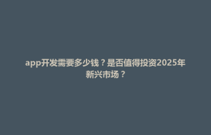 app开发需要多少钱？是否值得投资2025年新兴市场？