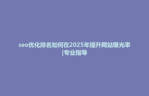 seo优化排名如何在2025年提升网站曝光率|专业指导