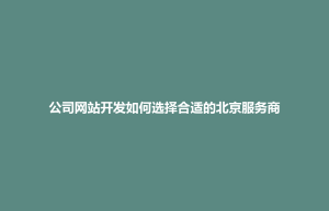 鹿邑县公司网站开发如何选择合适的北京服务商