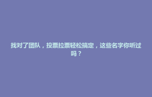 找对了团队，投票拉票轻松搞定，这些名字你听过吗？