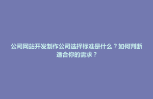 隆阳区公司网站开发制作公司选择标准是什么？如何判断适合你的需求？