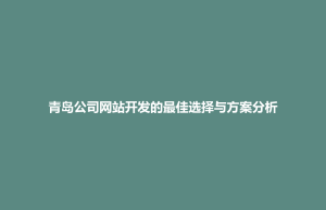 博兴县青岛公司网站开发的最佳选择与方案分析