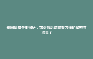 前金区泰国情降费用揭秘，花费背后隐藏着怎样的秘密与结果？
