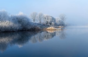 在什么情况下，企业应该考虑使用人工投票平台？