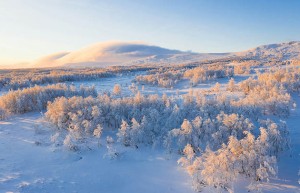 在2025年，投票中帮忙的团队能带来哪些意想不到的成果？