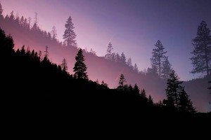 赫章县专业人工刷票是否为活动成功的秘密武器？