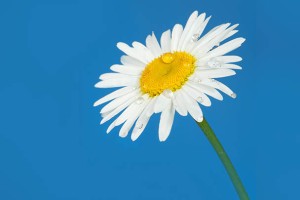 魏都区掌握这些技巧，轻松制作引爆市场的品宣视频！