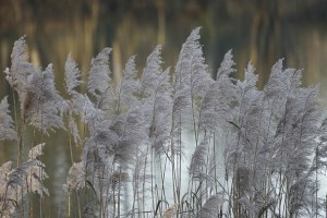 松山区开屏视频制作，如何在2025年提升用户转化率？