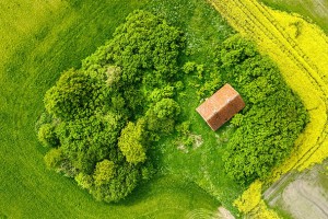 梧州市一般情降几天就见效是真的吗？揭秘快速见效的真相，避免上当受骗