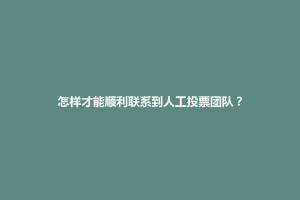 威宁彝族回族苗族自治县怎样才能顺利联系到人工投票团队？