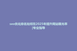 威宁彝族回族苗族自治县seo优化排名如何在2025年提升网站曝光率|专业指导