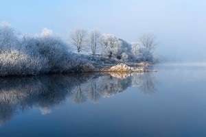 禹州市在什么情况下，企业应该考虑使用人工投票平台？