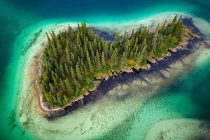 魏都区我尝试了免费版微信投票刷投票软件，它真的有效吗？