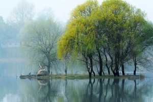 巴林右旗在什么情况下，使用微信投票刷投票软件免费版最有效？