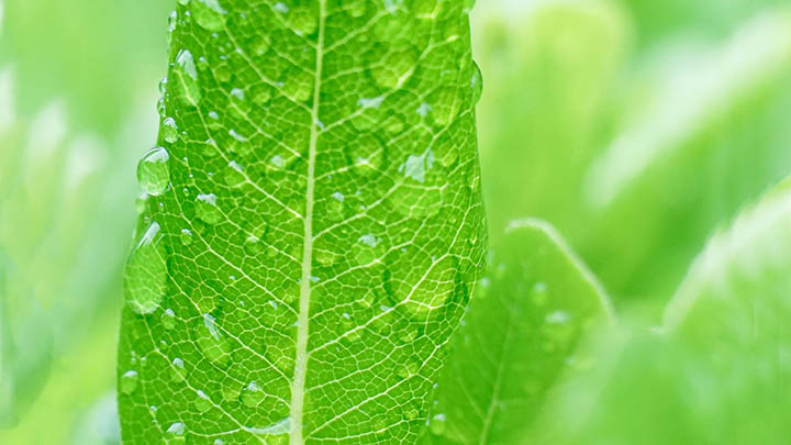 微信人工投票渠道有哪些，背后竟藏着这些不为人知的秘密？ 二