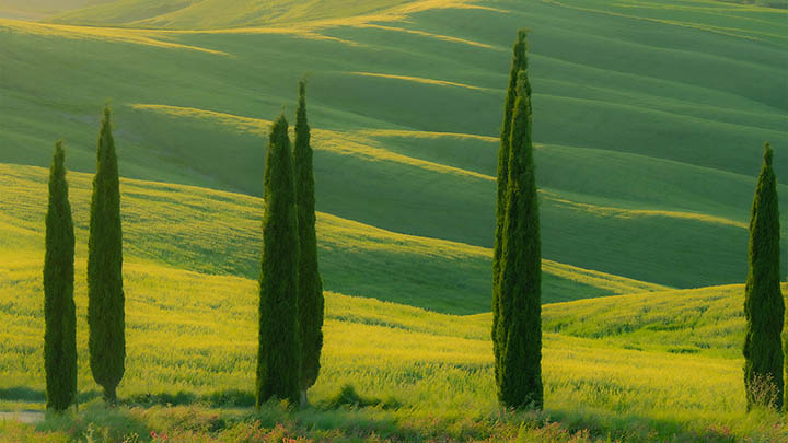微信人工投票安全吗？揭秘背后的风险与规则！ 二