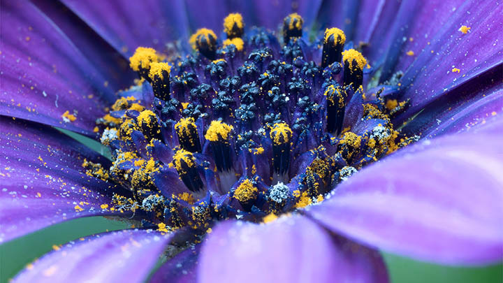 泰国情降法事真的能改变爱情运势吗？揭秘其中的真实效果与影响 二