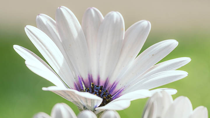 泰国情降降头术能否真正挽回破裂的感情？让我们来探讨一下！ 二