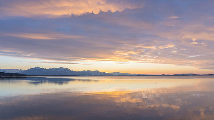 代办泰国情降：背后的鲜有人知的秘密与经济链条 二