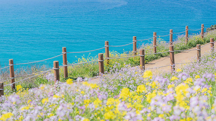 泰国情降斩桃花 - 决胜桃花运的秘密法门你绝不能错过 二